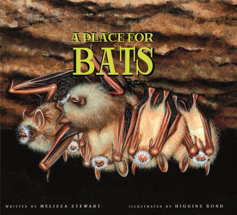 Place for Bats