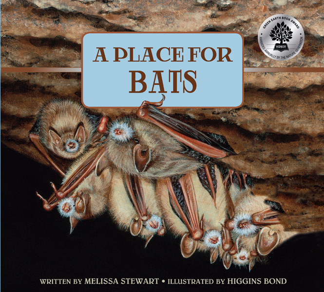 Place for Bats