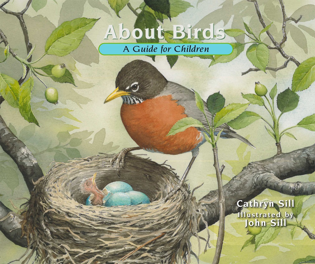 About Birds / Sobre los pájaros