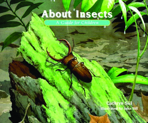 About Insects