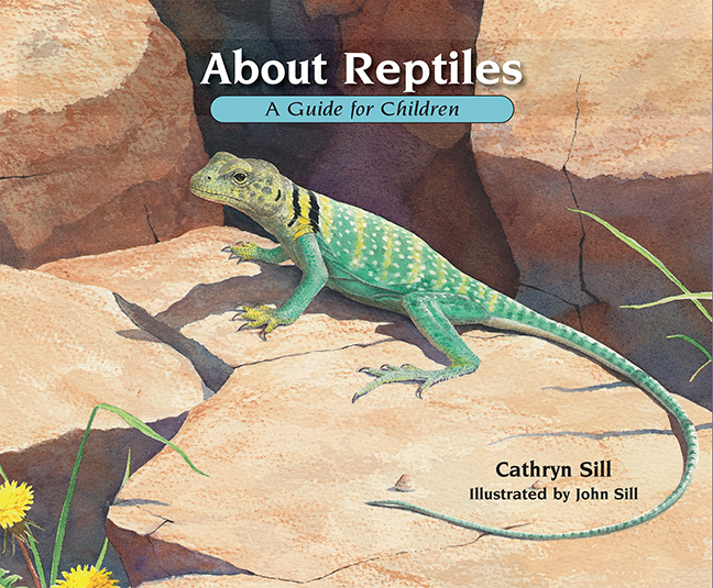 About Reptiles