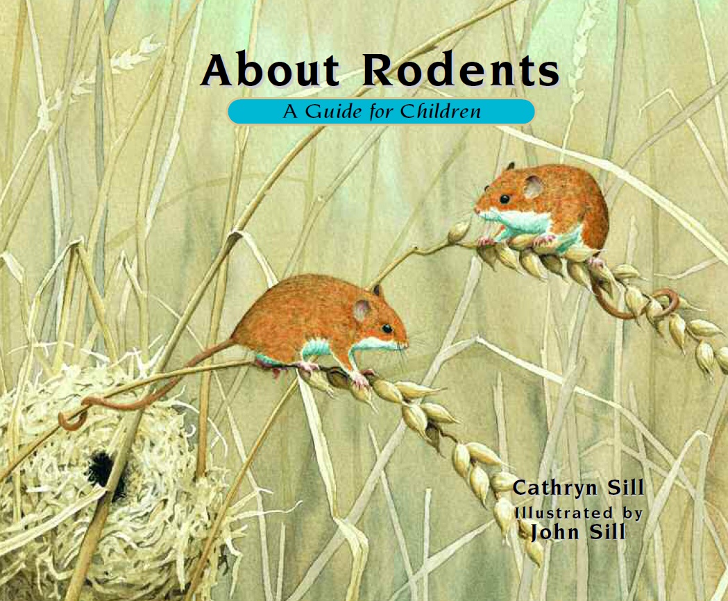 About Rodents