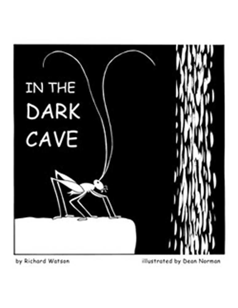 In the Dark Cave