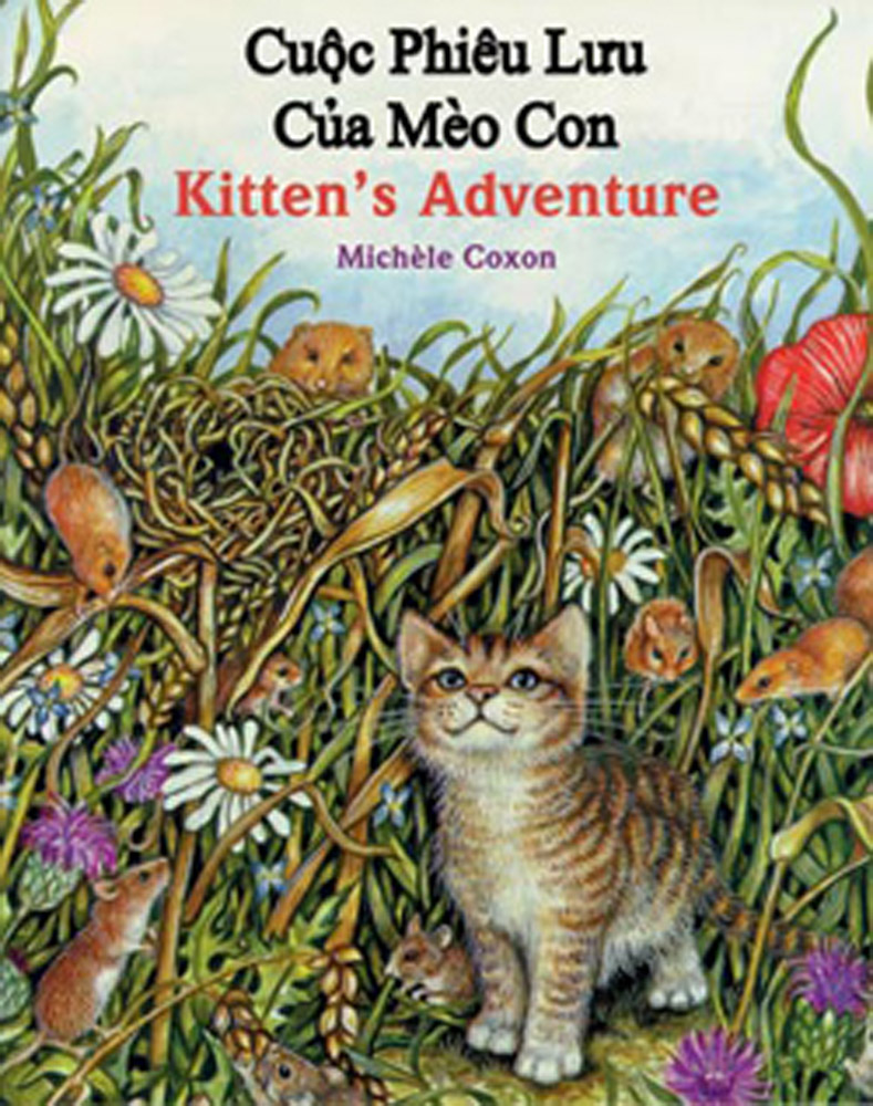 Kitten's Adventure