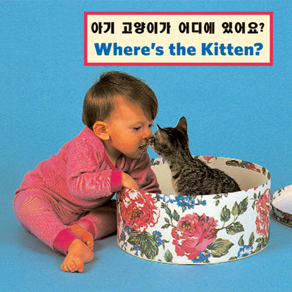 Where's the Kitten?