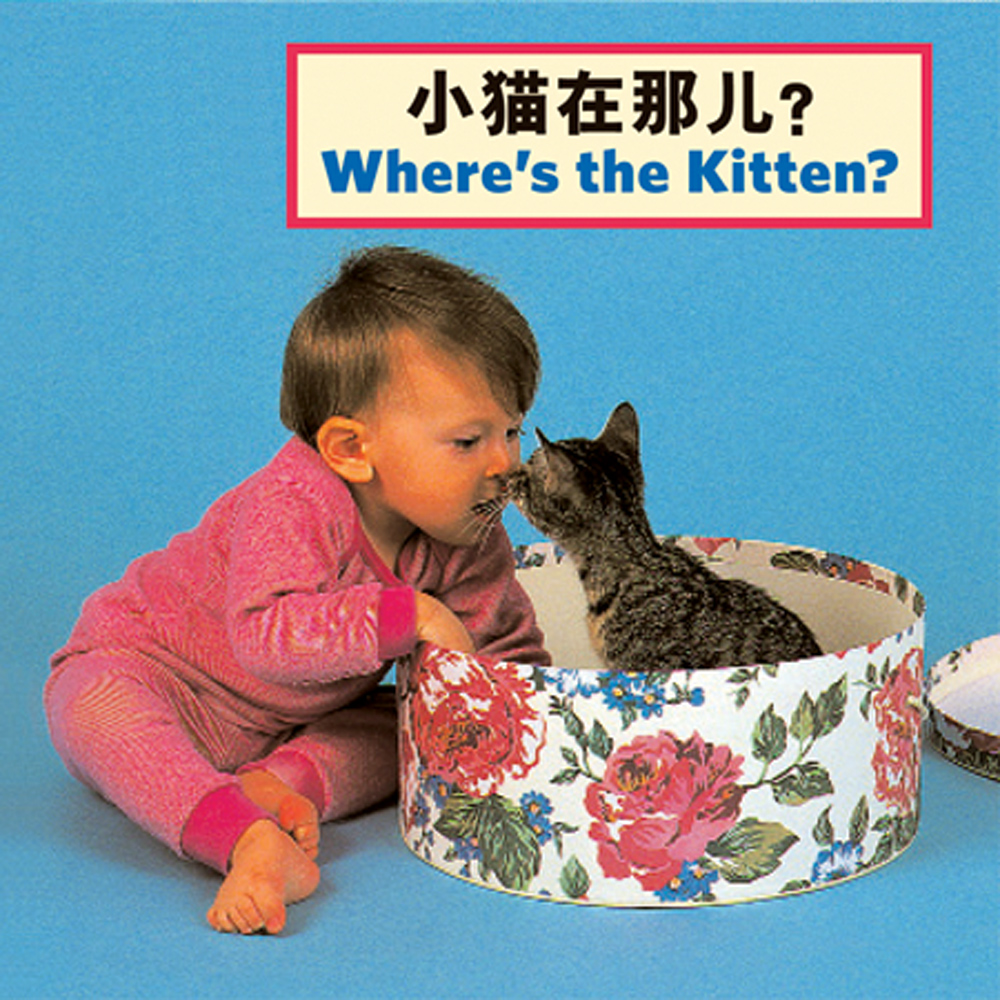 Where's the Kitten?