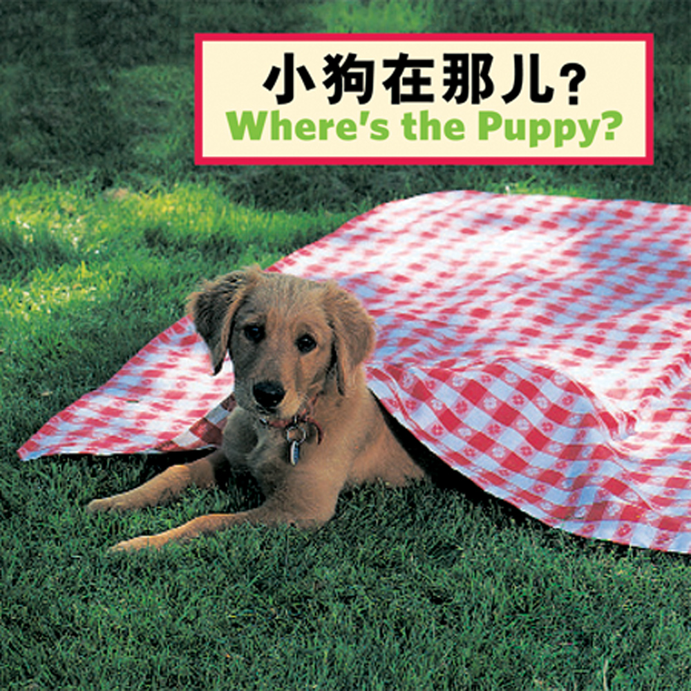 Where's the Puppy?