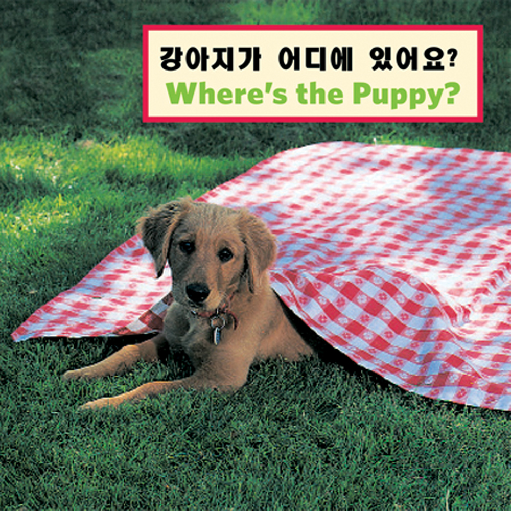 Where's the Puppy?