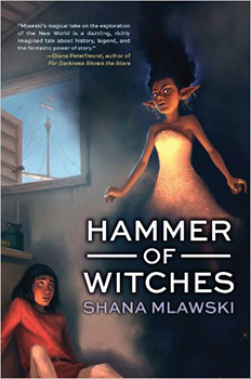 Hammer of Witches