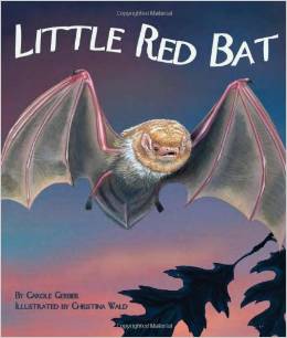 Little Red Bat