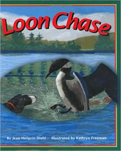 Loon Chase