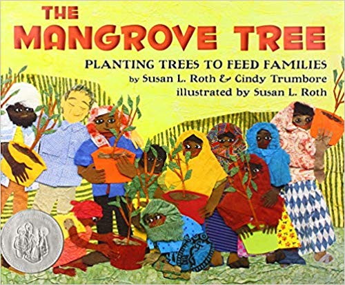 Mangrove Tree