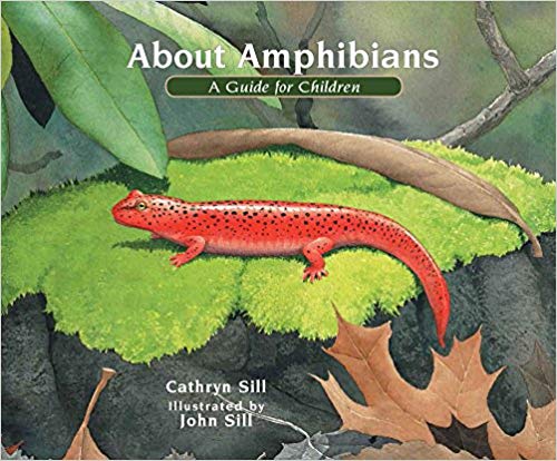 About Amphibians