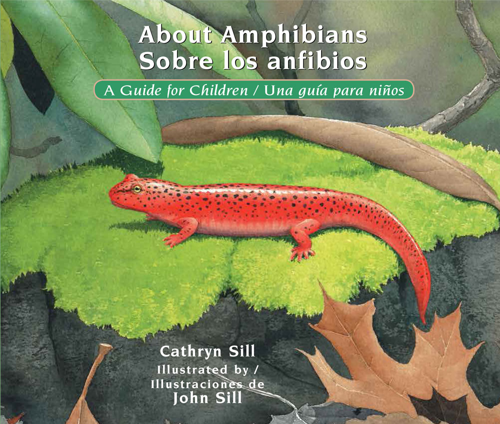 About Amphibians / Sobre los anfibios