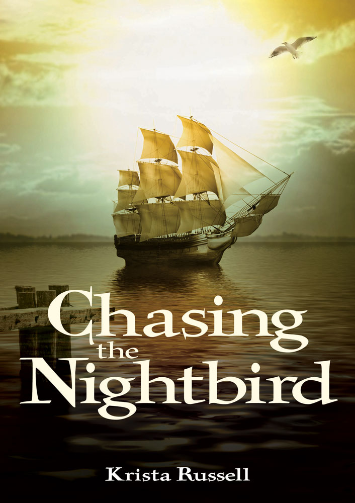 Chasing the Nightbird