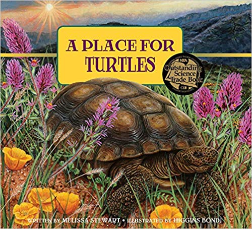 Place for Turtles