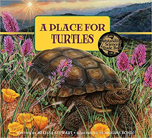 Place for Turtles