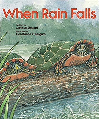 When Rain Falls