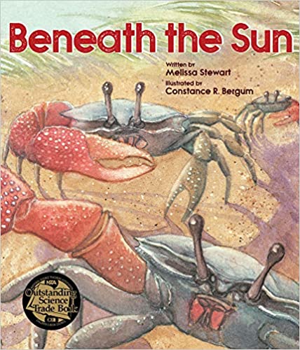 Beneath the Sun