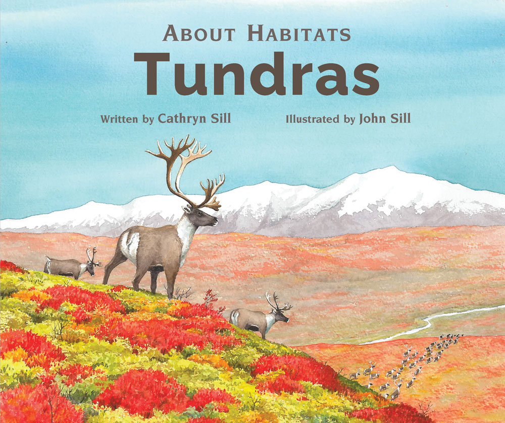 About Habitats: Tundras