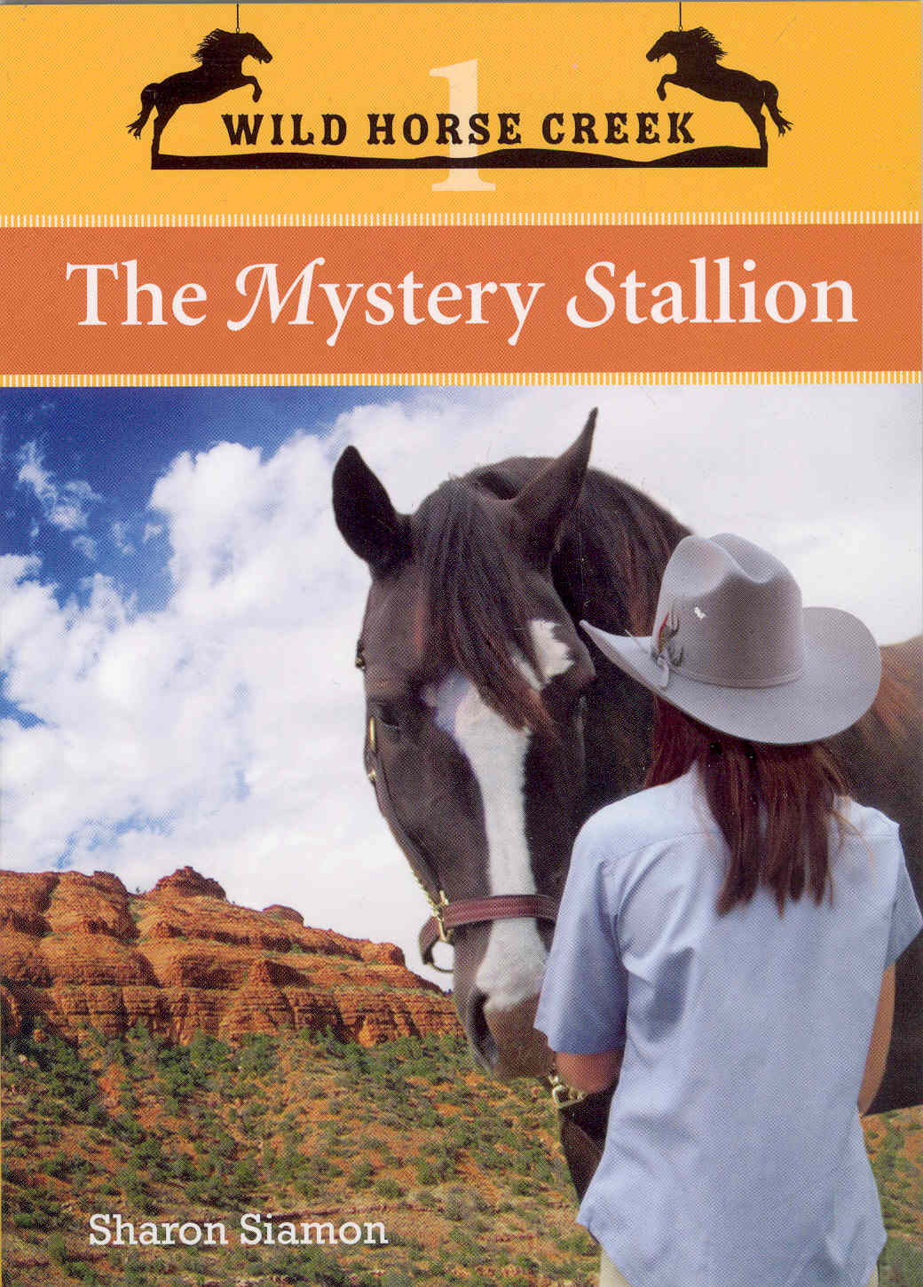 Mystery Stallion EPUB