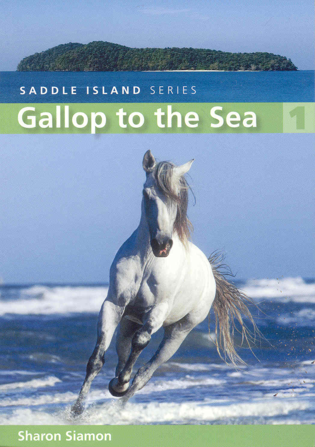 Gallop to the Sea