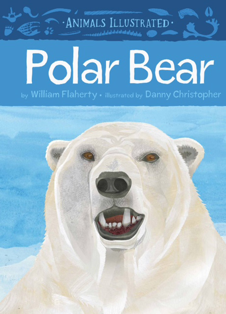 Animals Illustrated: Polar Bear