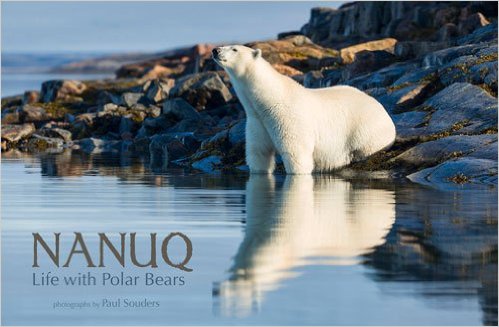 Nanuq