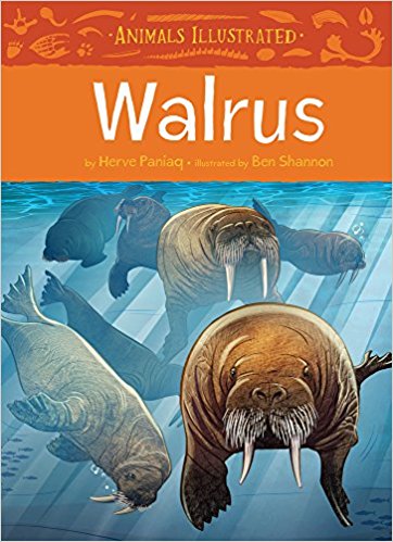 Animals Illustrated: Walrus