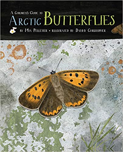 Children's Guide to Arctic Butterflies