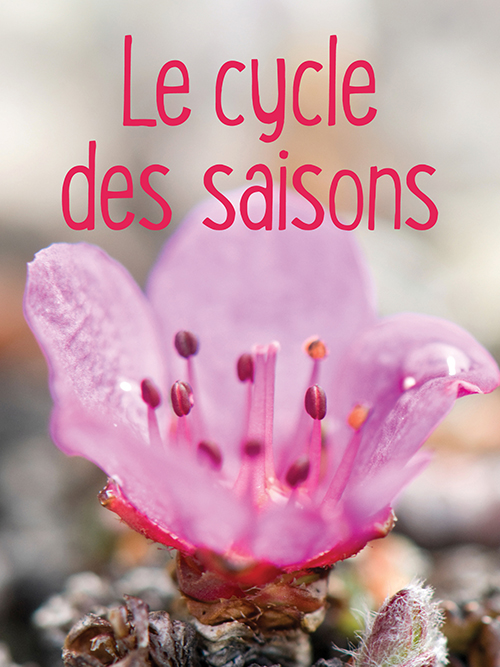 cycles des saisons