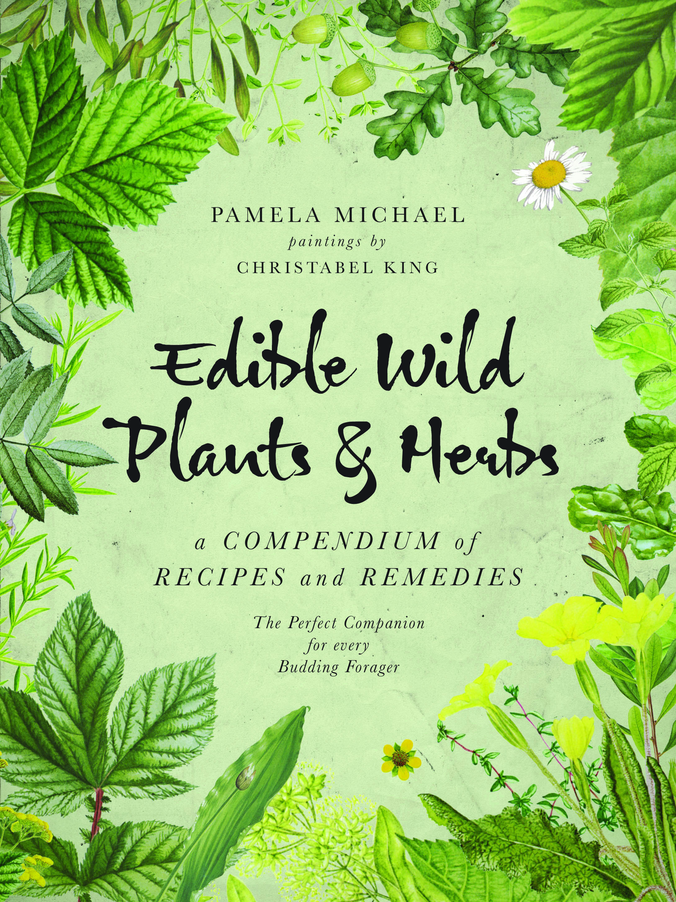 Edible Herbs and Wild Plants