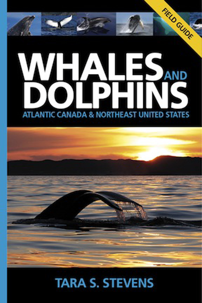 Whales and Dolphins of Atlantic Canada & Northeast United States