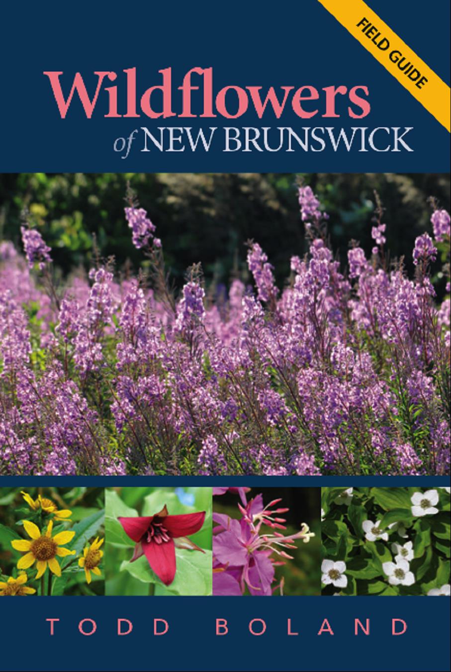 Wildflowers of New Brunswick