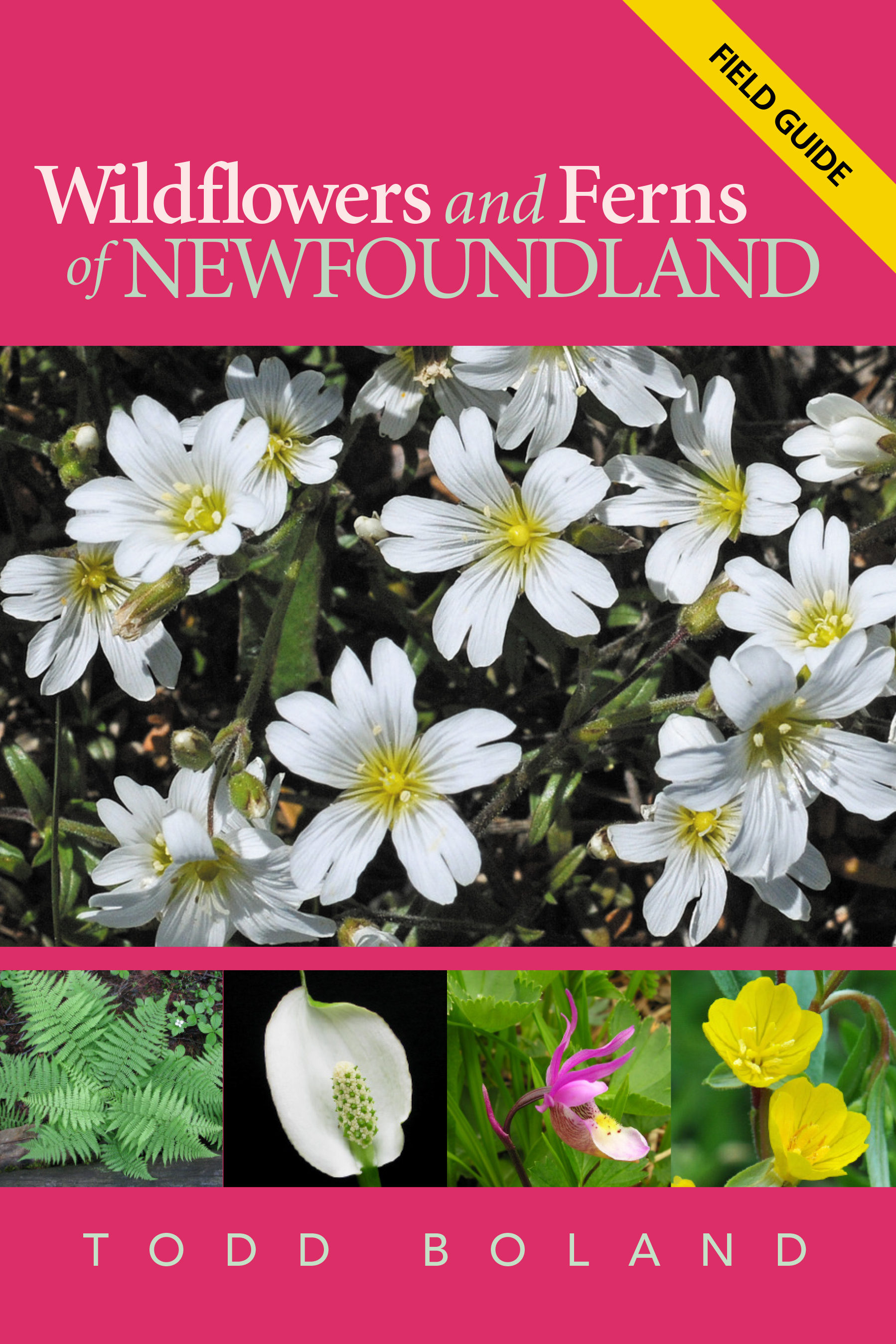 Wildflowers of Newfoundland and Labrador