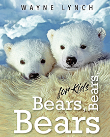 Bears, Bears, Bears for Kids
