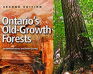 Ontario's Old Growth Forests: 2nd edition