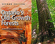 Ontario's Old Growth Forests: 2nd edition