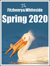 Fitz Spring 2020 Catalogue