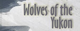 Wolves of the Yukon